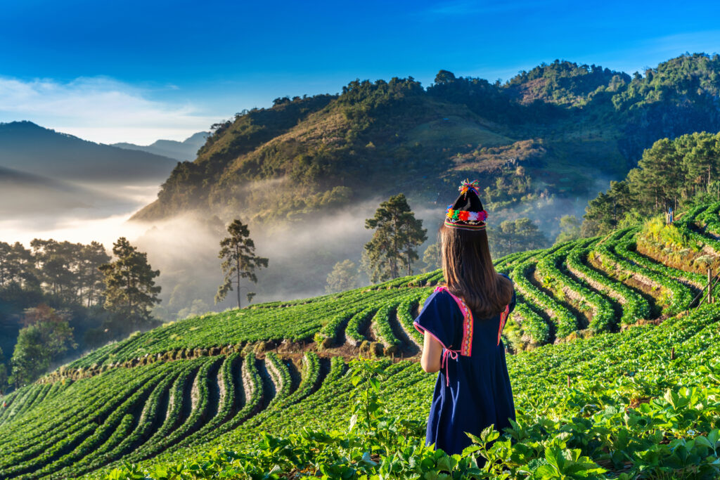 Na co zaszczepić się przed podróżą do Azji? 3 woman wearing hill tribe dress strawberry garden doi ang khang chiang mai thailand